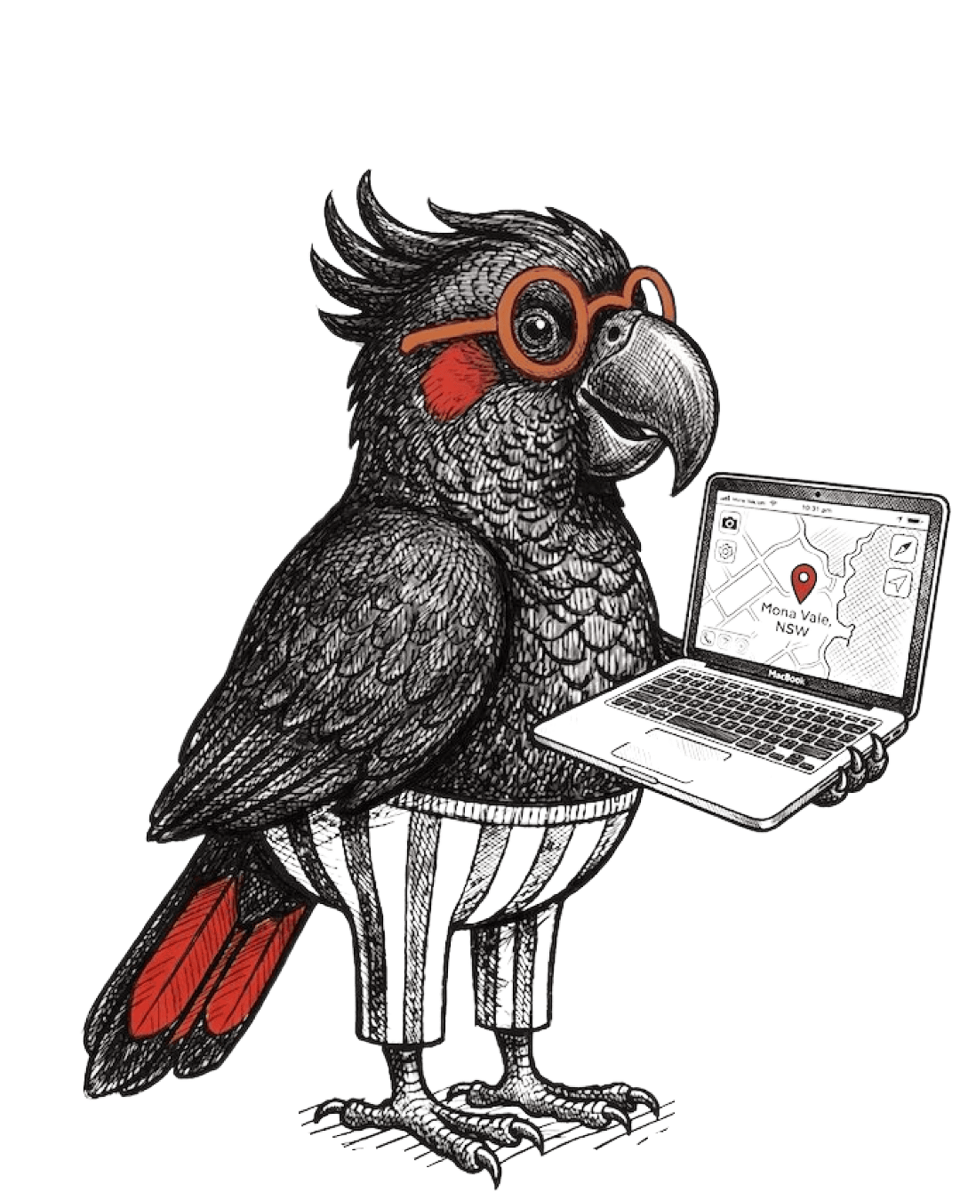 Bird laptop